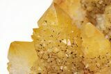 Sunshine Cactus Quartz Crystal Cluster - South Africa #212679-2